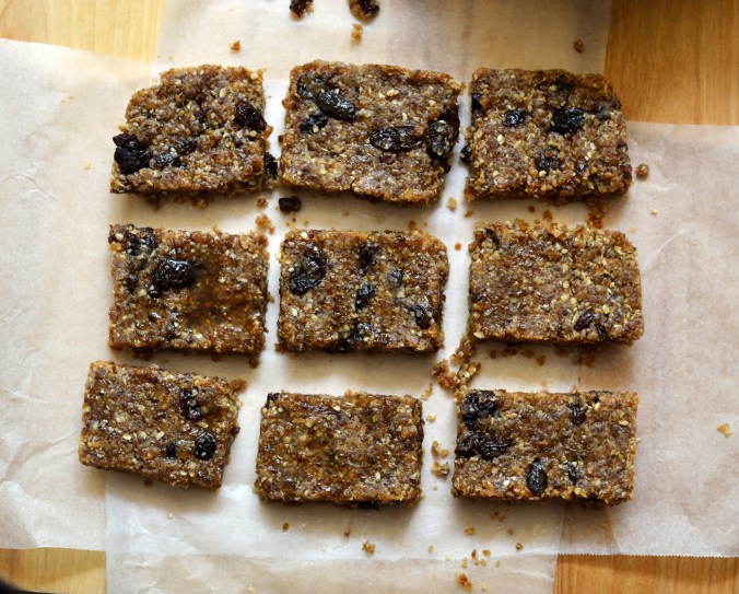 {No Bake} Oatmeal Raisin Cookie Dough Bars | Pumpkin Honey